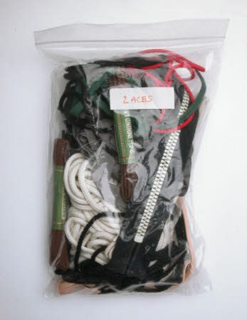 Shoelace