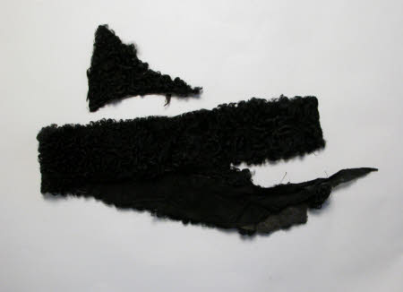 Fur