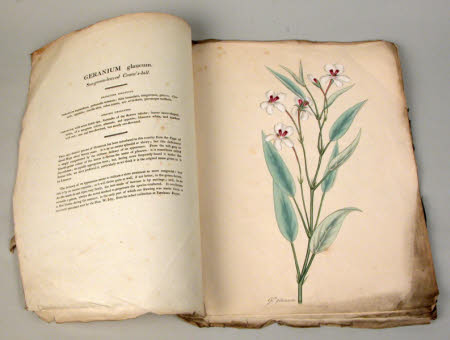 Lithograph