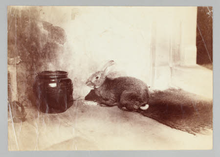 Beatrix Potter Gallery © National Trust / Robert Thrift