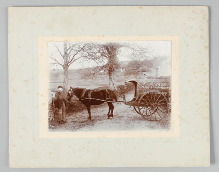 Timothy Askew's Cart