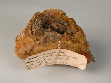 Calke Abbey © National Trust / David Midgelow