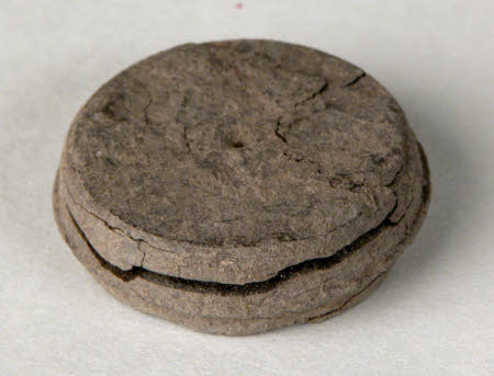 Coal money
