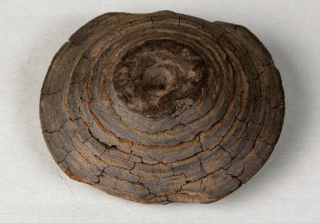 Wooden disc