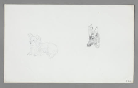 Beatrix Potter Gallery © National Trust / Robert Thrift