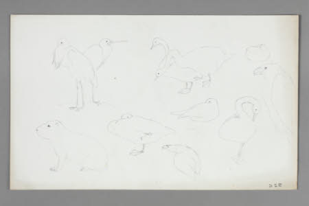 Sketch