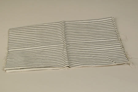 Fabric remnant
