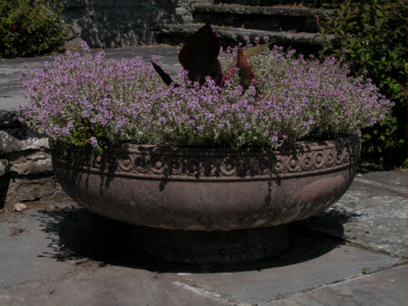 Planter