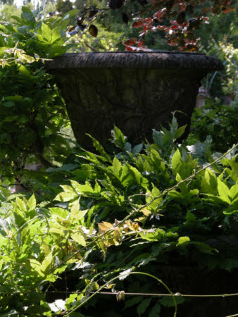 Urn