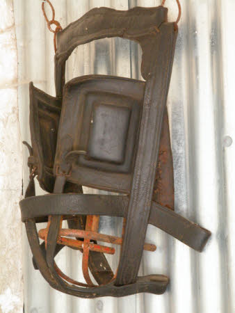 Bridle
