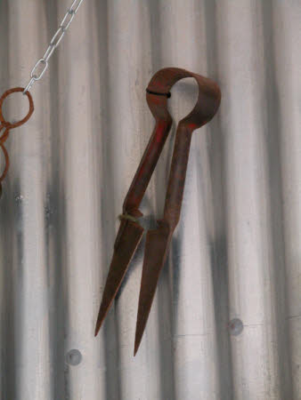Shears