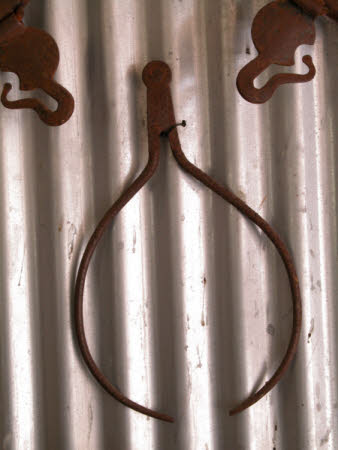Calipers