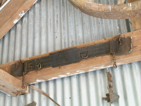 Harness strap