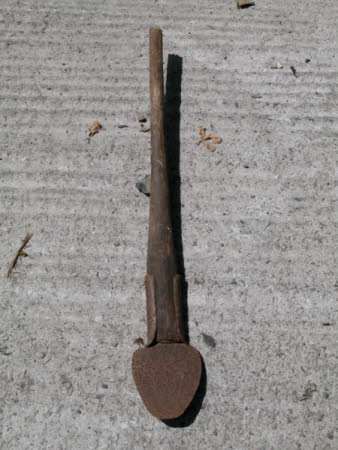 Turf lifter