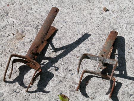 Mole trap