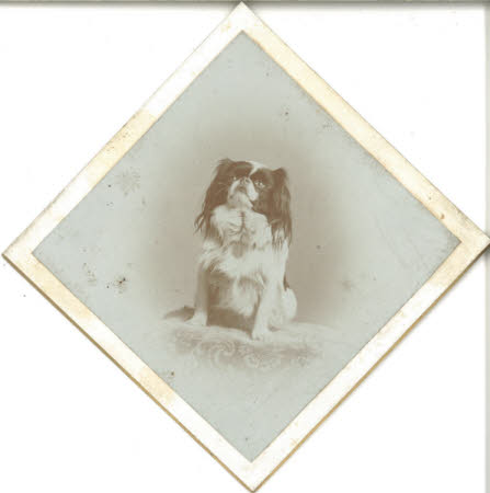 Tokio.1898-1906