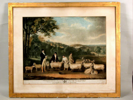 Thomas William Coke, 1st Earl of Leicester (1752 – 1842), inspecting some of his South-down sheep ...