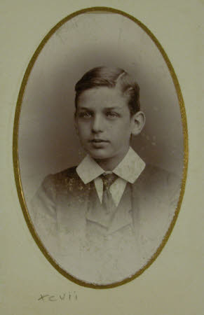 N. Primrose