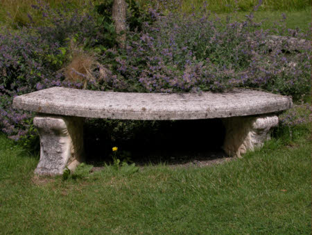 Colby Woodland Garden © National Trust / Kate Lynch