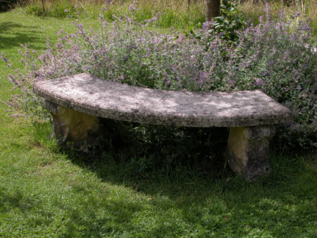 Colby Woodland Garden © National Trust / Kate Lynch