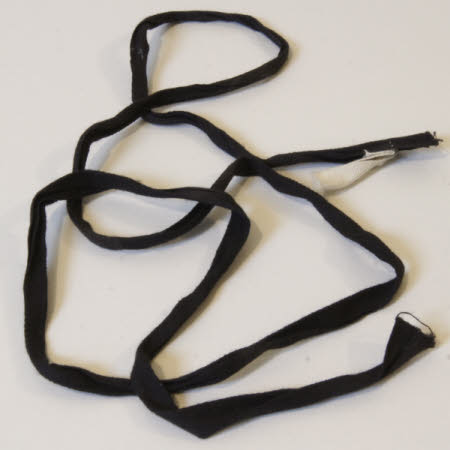 Shoelace