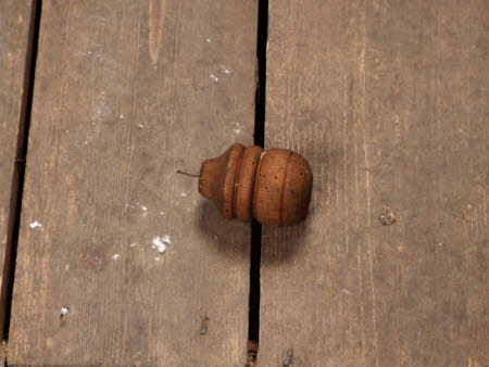 Knob
