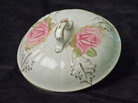 Dish cover