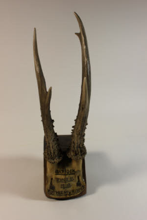 Antler