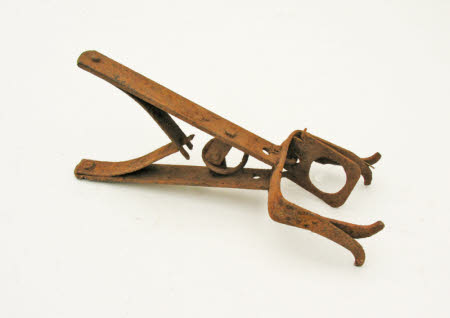 Mole trap