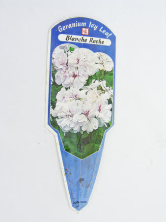 Plant label