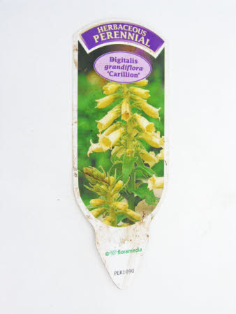 Plant label