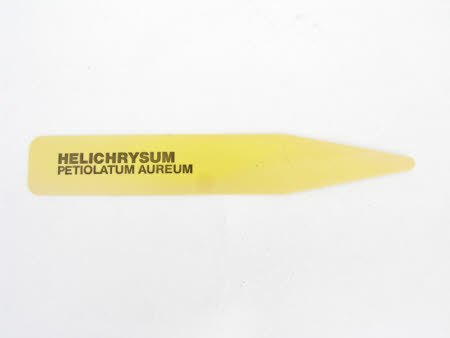 Plant label