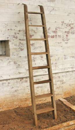 Fruit ladder