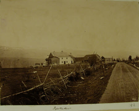 Bjerkaker