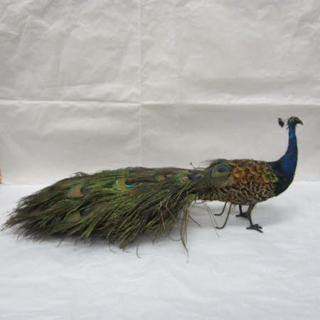 National Trust Museum of Childhood © National Trust / Sue Fraser