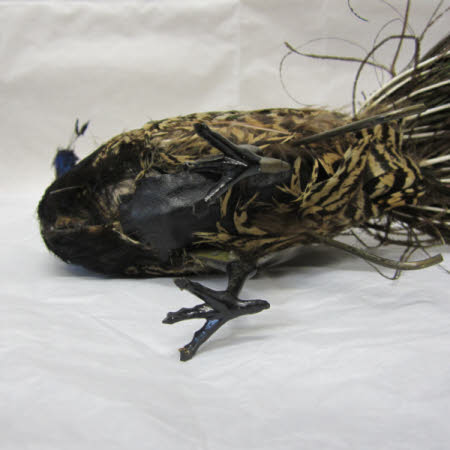 National Trust Museum of Childhood © National Trust / Sue Fraser