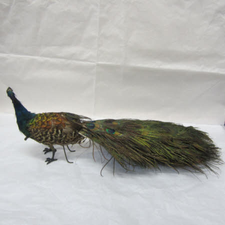 National Trust Museum of Childhood © National Trust / Sue Fraser