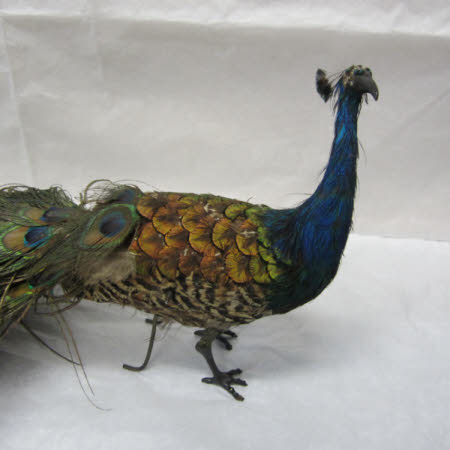 National Trust Museum of Childhood © National Trust / Sue Fraser