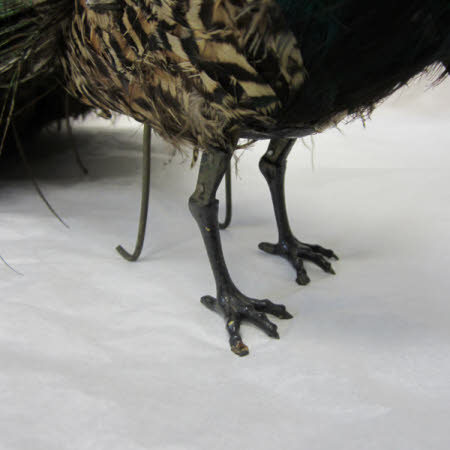 National Trust Museum of Childhood © National Trust / Sue Fraser