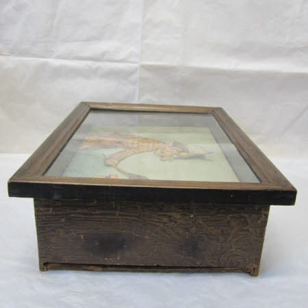 National Trust Museum of Childhood © National Trust / Sue Fraser