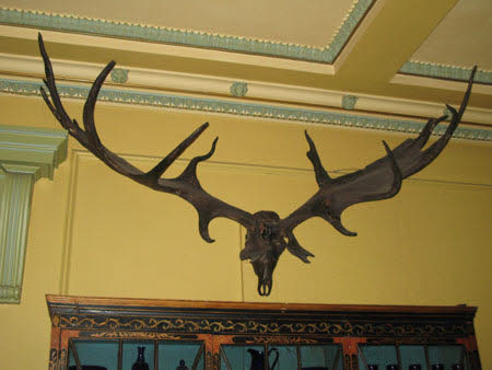 Mount Stewart © National Trust / Sotheby's