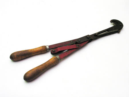 Tree lopper
