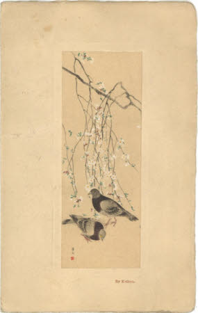 Pigeons and Plum Blossom by Matsumura Keibun.