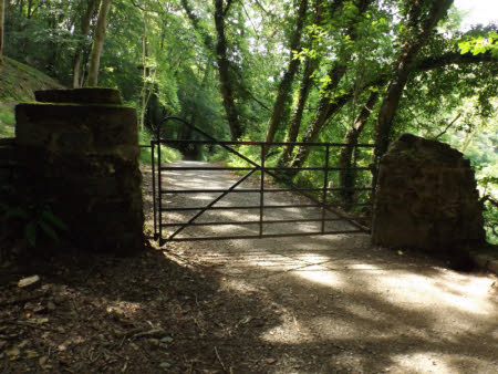 Colby Woodland Garden © National Trust / Katherine Hoad