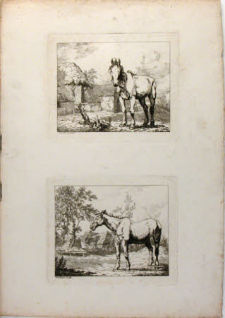 A horse standing in a yard with a thatched barn behind