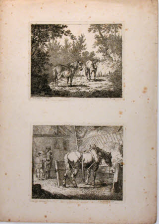 Two ponies standing in a small field with a pond, surrounded by trees