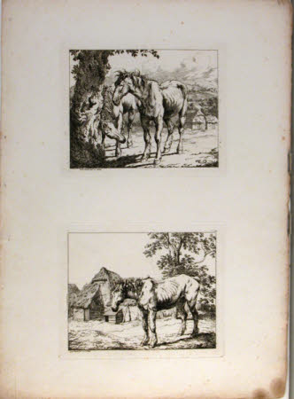 Two horses under a tree, the one rubbing its neck on the tree trunk. 