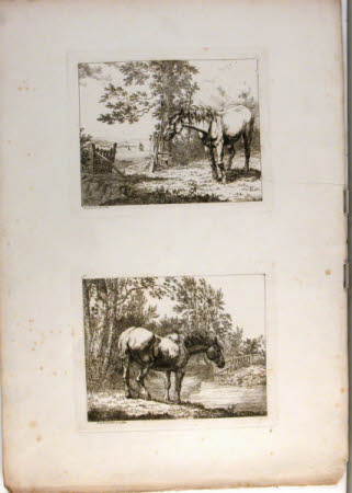 Carthorse
