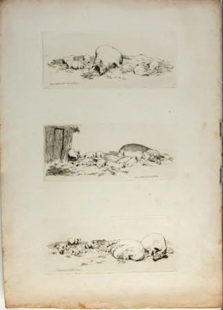 A sow and piglets lying in straw