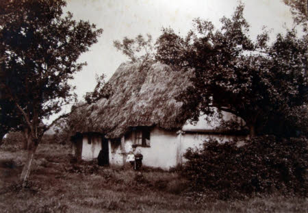 A Thatched Cottage